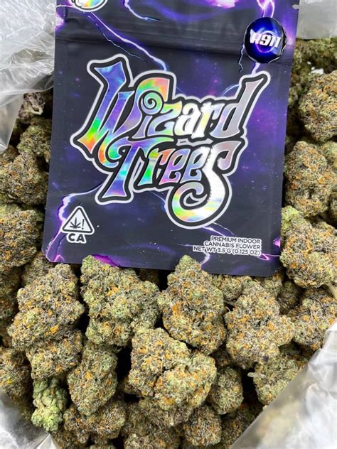 versace strain wizard trees|Wizard Trees.